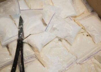 Si u tentua të grabiten 613 kg kokainë nga laboratori i policisë? Gazetarja zbulon detajet –