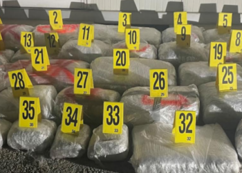 Kapen 182 kg marihuanë, dyshohet se ishte transportuar nga Serbia –