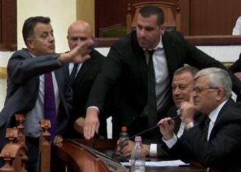Pikante nga Kuvendi/ Noka i “rrëmbeu” mikrofonin, ja shprehja e deputetit të PS që e irritoi –