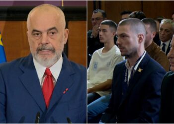 Je ëndrra e çdo vjehrre, por.. –