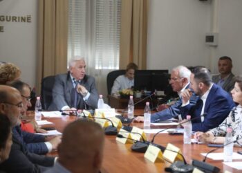 Për çfarë sigurie flasim kur shteti i luan syrin krimit –