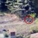 VIDEO/ Si e braktisin shokun e tyre të plagosur terroristët serbë –