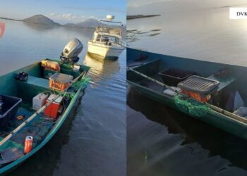 Peshkuan me rrymë elektrike, nën hetim dy persona në Shkodër –