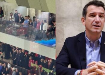 E humbet pyllin për një pemë… –