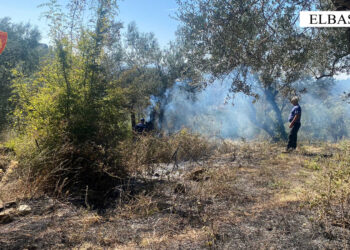 Dogji me barishtet edhe pemët e fqinjëve, procedohet i moshuari –