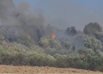 Zjarr përfshin kodrat me ullishte në Fier, era favorizon flakët –