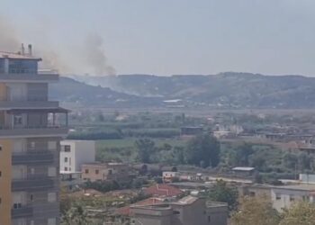 Shtohet një vatër e re zjarri në Fier, rrezikohen stallat e lopëve –