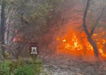 Prej 8 ditësh vazhdon beteja me flakët në Pishporo dhe Darëzezë –