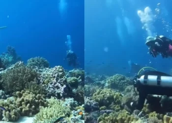 VIDEO me pamjet e rralla/ Çfarë ndodh në fund të detit kur bie tërmet –