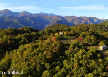 Erdhi nga Amerika për të investuar në Shqipëri, denoncimi që rrëzon –