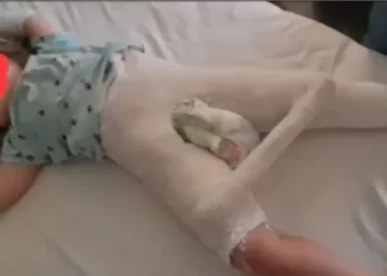 Vajza filloi duke folur rrjedhshëm tek “Trauma”: Edukatorja më rrahu –