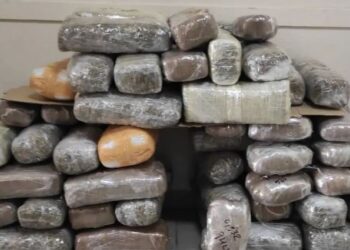 Kapen 75 kg marijuanë në Igumenicë, po transportohej nga Shqipëria –