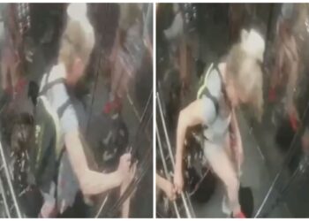 Keqtrajtimi i qenve në një ashensor në Tiranë, procedohet 51-vjeçarja –