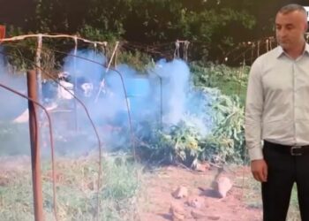 Lidhje me trafikantët e Shkodrës? Rikthehen në detyrë shefi Hajri Kushe dhe oficerët e tij –