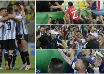 VIDEO/ Përleshje në tribuna, Brazili mundet për herë të parë në fushën e saj nga Argjentina –