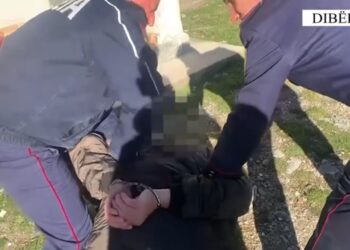 Do e vriste bashkëfshatari, parandalohet krimi nga policia në Dibër! –