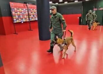 Shqipëri-Ishujt Faroe, RENEA kontroll me qen në “Air Albania”/ Ç’po ndodh (FOTO) –