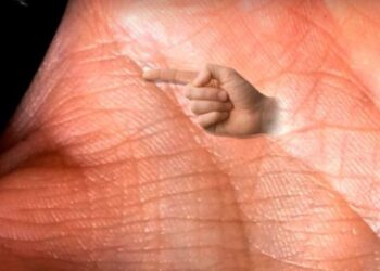 Nëse keni këtë linjë në shuplakë ju jeni fatlum i madh! –