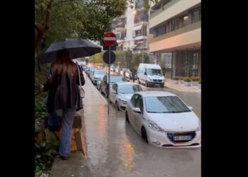 Të kërcesh si majmun për të vajtur në punë –