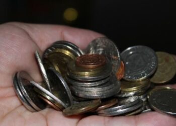 I riu shkon të paguajë gjobën me një valixhe plot me monedha –