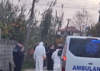 ‘E vrava për punë kanali’, çfarë tha autori pas krimit në Laknas –