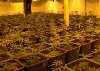 Rrjetet shqiptare aktive në disa vende evropiane –