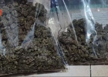 EMRAT/ Tregtonin drogë afër shkollave, arrestohen 4 persona në Kavajë –