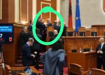 Ja kush është gardisti që kishte armë në sallën e Kuvendit –