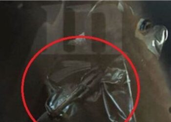 Atentat apo grabitje? ADN-ja ‘tradhton’ shqiptarin në Greqi –