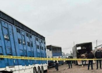 Hidhet granatë dore në Prizren, raportohen të lënduar –