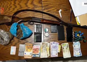 Shisnin kanabis dhe kokainë, vihen në pranga dy shtetas në Mirditë –