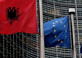 Mungesë transparence në fondet e tërmetit, forconi kontrollin për PPP-të –