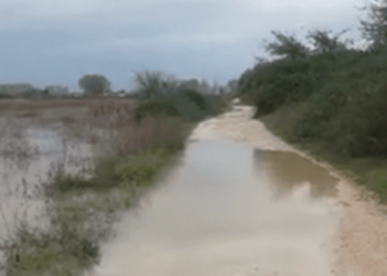Lumi “Ishëm” rrezikon të dalë nga shtrati, përmbyten disa fshatra –