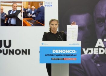 Si i fiton tenderat e ushqimit pa konkurent deputeti Qefalia –