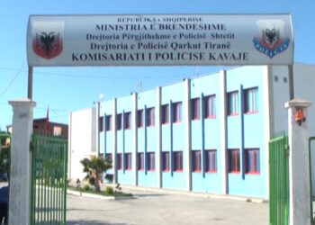 Vodhi shtëpinë e vëllait të tij, arrestohet 29-vjeçari në Kavajë –