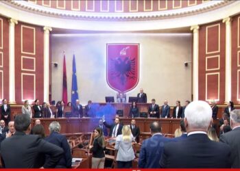 Kaos në Kuvend, Ervin Salianji merr fjalën me tymuese në dorë –