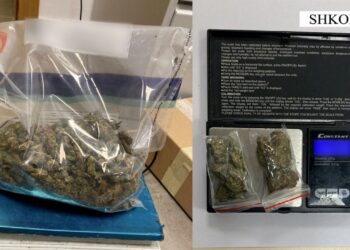 “Tempulli”/ Shiste hashash në Shkodër, arrestohet 29-vjeçari