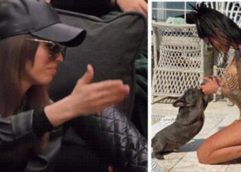 “Leh si qeni i Morena Tarakut”/ Shqipja zihet keq me Buçin në BBV –