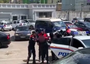 Me kanabis dhe kokainë, arrestohen tre trafikantë në Lezhë e Mirditë (EMRAT) –