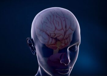 Truri rigjenerohet pas ndërprerjes së alkoolit –