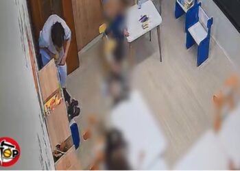 Dhuna ndaj 3-vjeçares, procedohet penalisht pronari i kopshtit