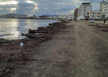 Gjendet e pajetë një grua në plazh, kufoma pikaset nga kalimtarët –