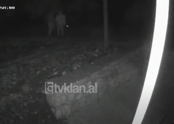 “Haja një vezë se nuk e blija dot”, hajduti grabit pulat e 85-vjeçares (Video) –
