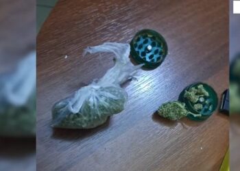 Policia bën “namin”/ “2 kilometra” njoftim, për 2 cigare hashash –