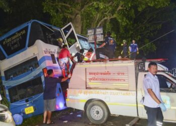 Autobusi del nga rruga përplaset me pemën, të paktën 14 të vdekur –