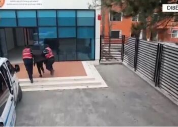 Dy vëllezërit shisnin kanabis/ Arrestohet njëri, tjetri në kërkim –