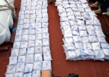 SPAK mbyll hetimet për laboratorin e kokainës në Fier, e kalon… –