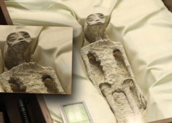 Zbulimi/ ‘Mumjet aliene’ kanë ADN me origjinë të panjohur –
