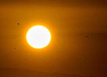 3 miliardë njerëz do të ekspozohen ndaj të nxehtit –