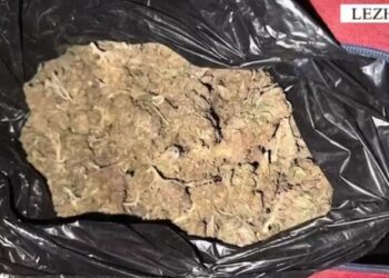 EMRI/ U kap me një çantë me kanabis, arrestohet 22-vjeçari në Lezhë –